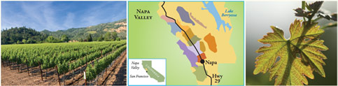 Wine+Header+Napa+Valley